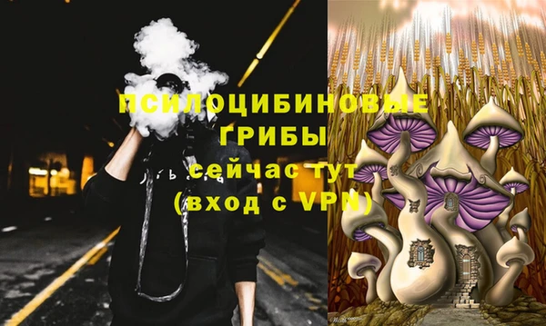 MDMA Богородицк