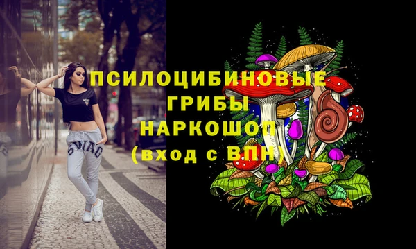 MDMA Богородицк