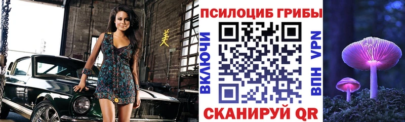 Галлюциногенные грибы прущие грибы  где найти   Нарьян-Мар 